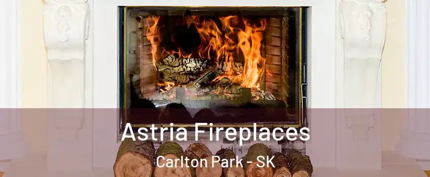  Astria Fireplaces Carlton Park - SK