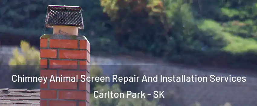  Chimney Animal Screen Repair And Installation Services Carlton Park - SK