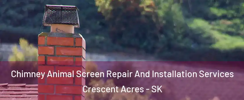  Chimney Animal Screen Repair And Installation Services Crescent Acres - SK