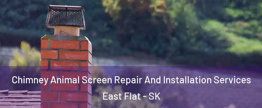  Chimney Animal Screen Repair And Installation Services East Flat - SK