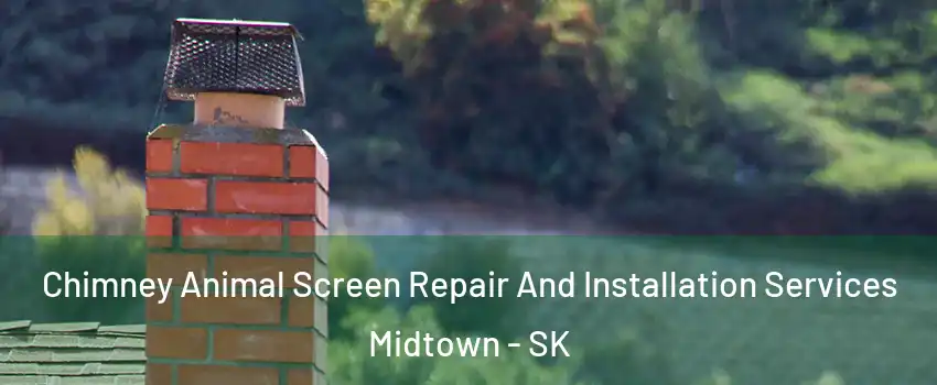  Chimney Animal Screen Repair And Installation Services Midtown - SK