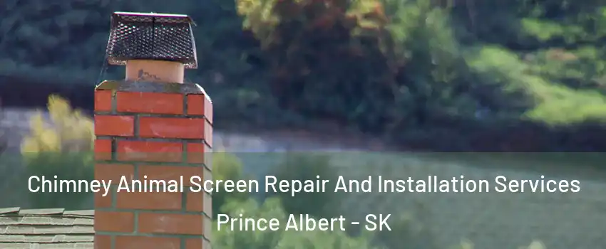  Chimney Animal Screen Repair And Installation Services Prince Albert - SK