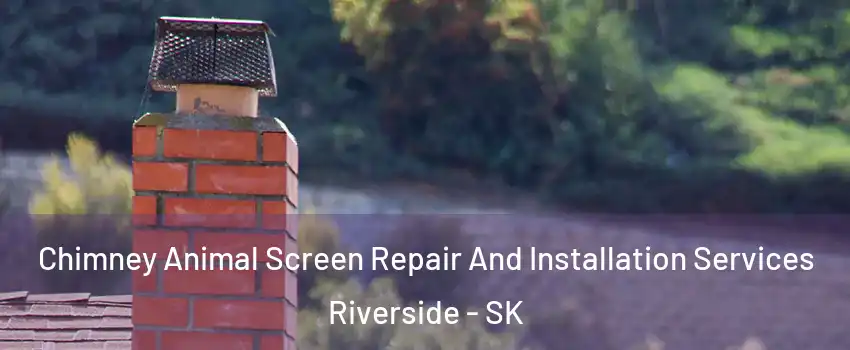  Chimney Animal Screen Repair And Installation Services Riverside - SK
