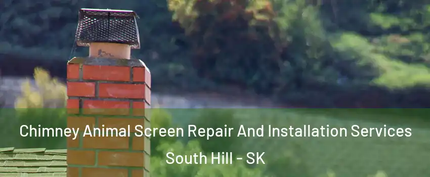  Chimney Animal Screen Repair And Installation Services South Hill - SK