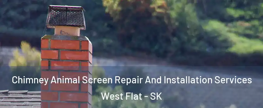  Chimney Animal Screen Repair And Installation Services West Flat - SK