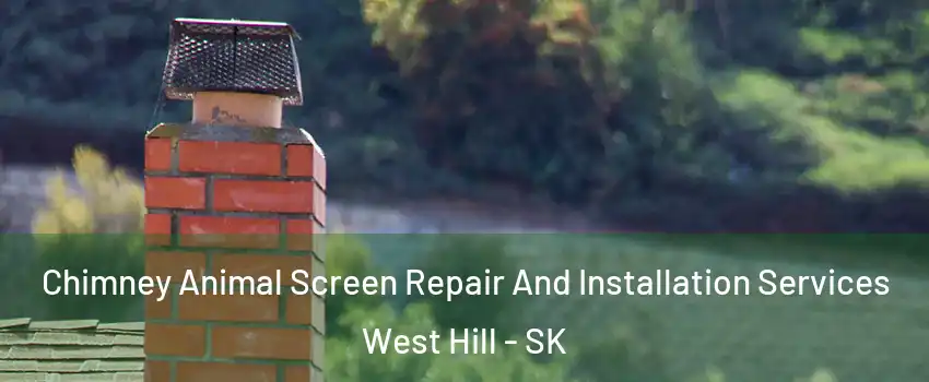  Chimney Animal Screen Repair And Installation Services West Hill - SK