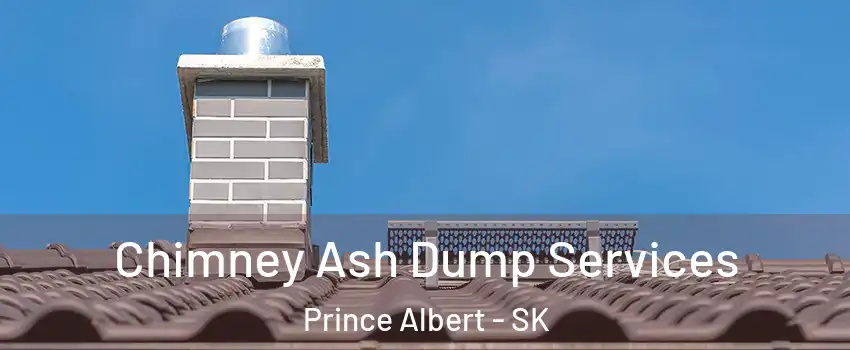  Chimney Ash Dump Services Prince Albert - SK