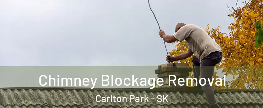  Chimney Blockage Removal Carlton Park - SK