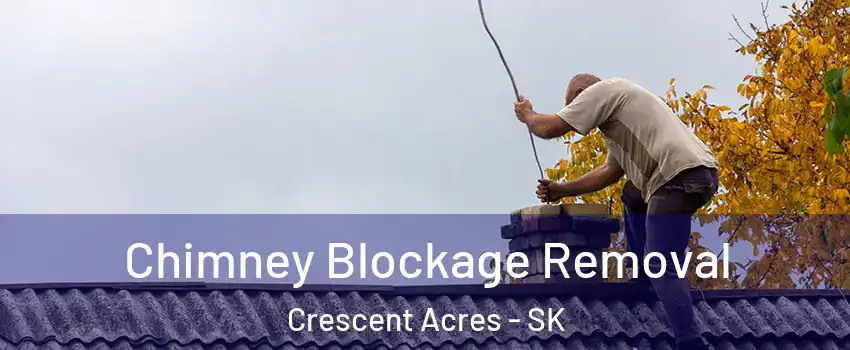  Chimney Blockage Removal Crescent Acres - SK