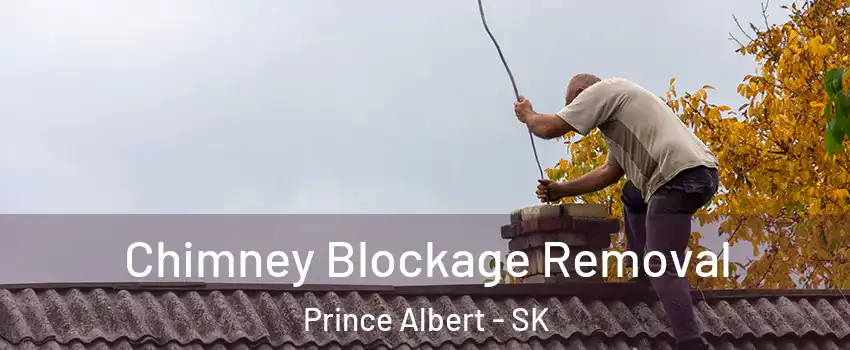  Chimney Blockage Removal Prince Albert - SK