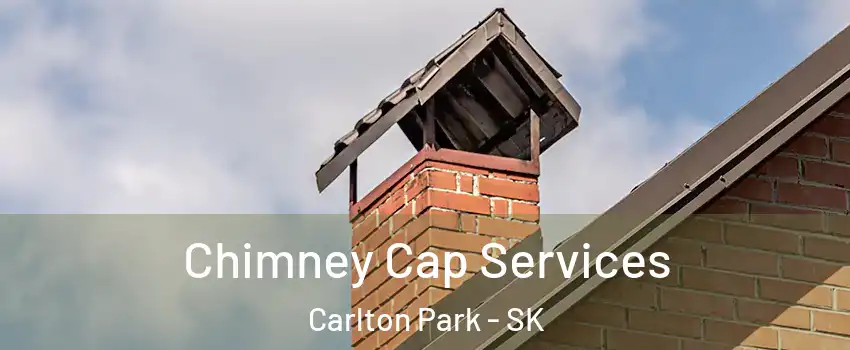  Chimney Cap Services Carlton Park - SK