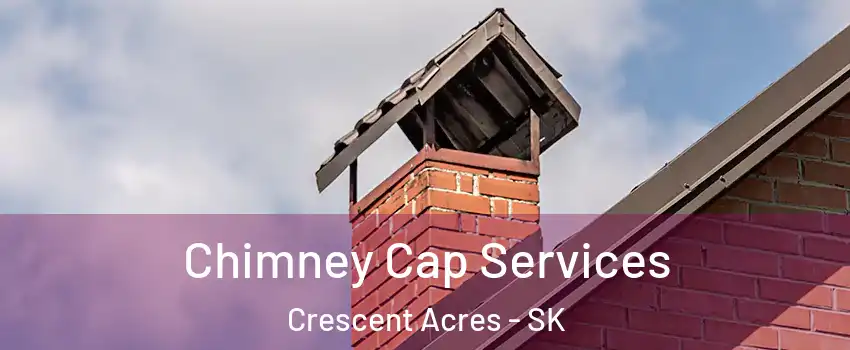  Chimney Cap Services Crescent Acres - SK