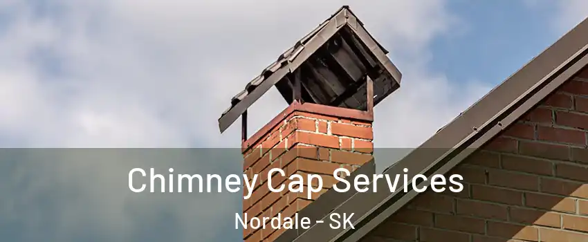 Chimney Cap Services Nordale - SK