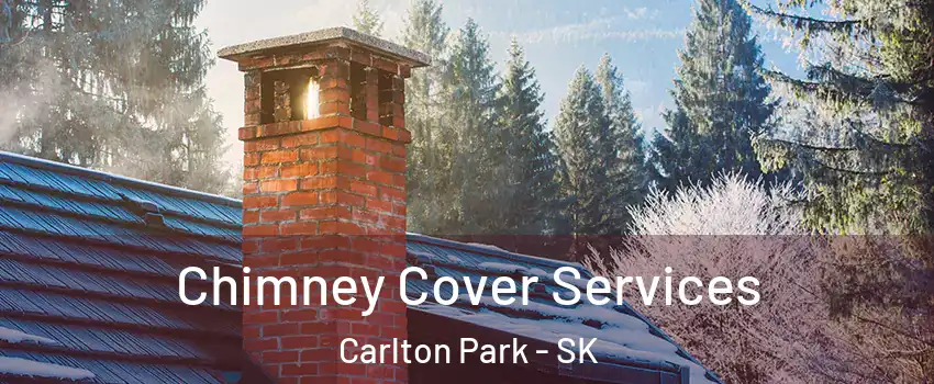  Chimney Cover Services Carlton Park - SK