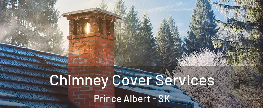  Chimney Cover Services Prince Albert - SK