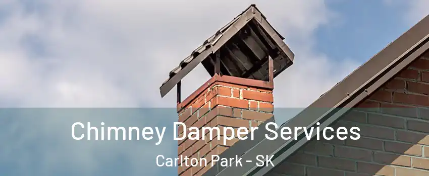  Chimney Damper Services Carlton Park - SK