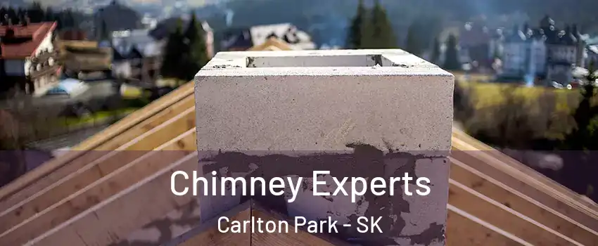 Chimney Experts Carlton Park - SK