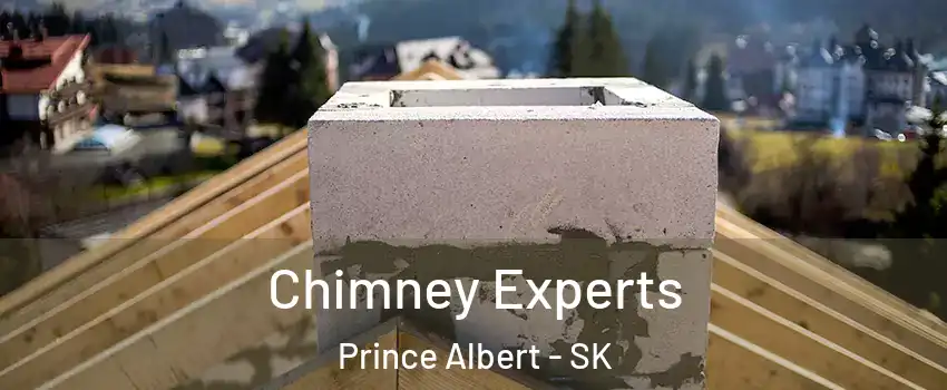 Chimney Experts Prince Albert - SK