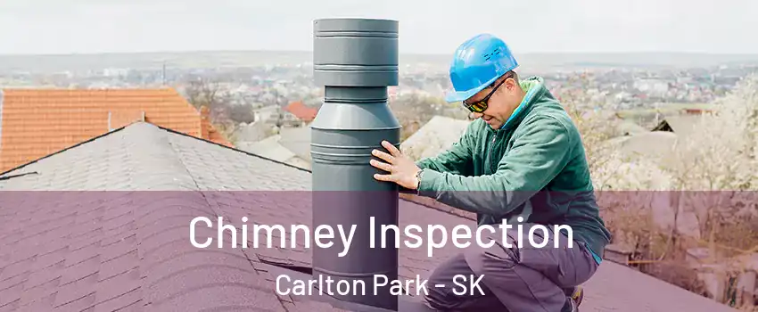  Chimney Inspection Carlton Park - SK