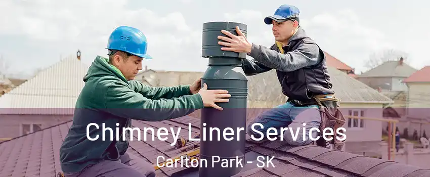  Chimney Liner Services Carlton Park - SK