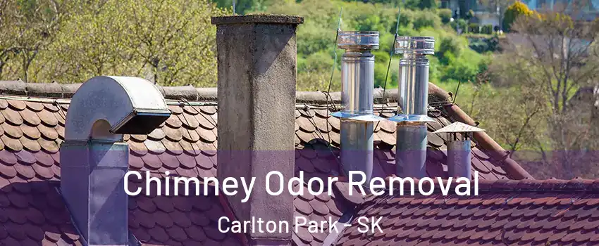  Chimney Odor Removal Carlton Park - SK