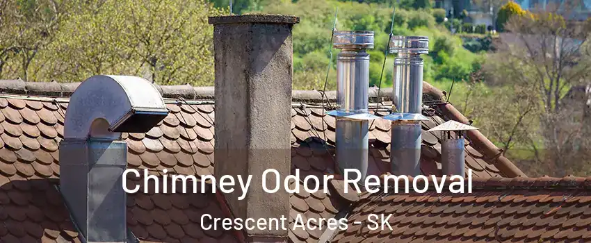  Chimney Odor Removal Crescent Acres - SK