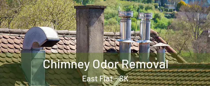  Chimney Odor Removal East Flat - SK