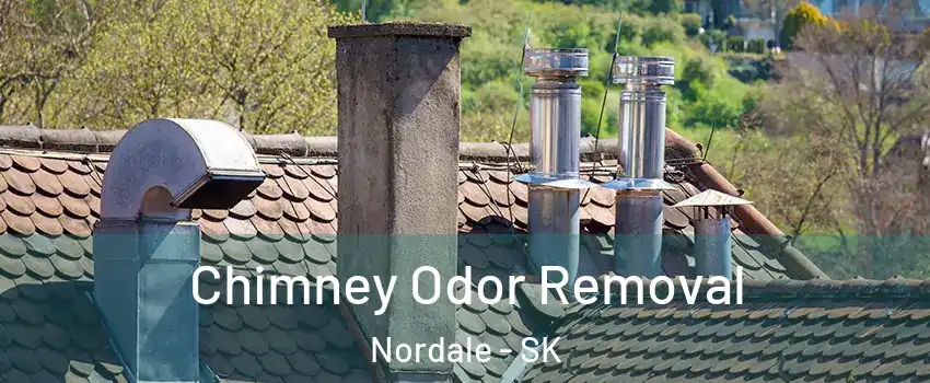 Chimney Odor Removal Nordale - SK