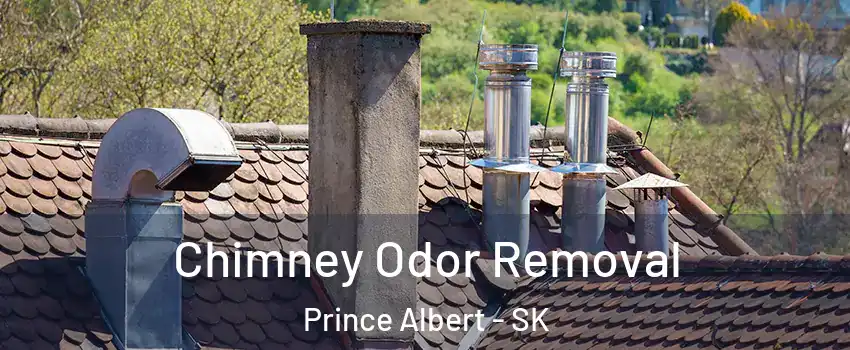  Chimney Odor Removal Prince Albert - SK