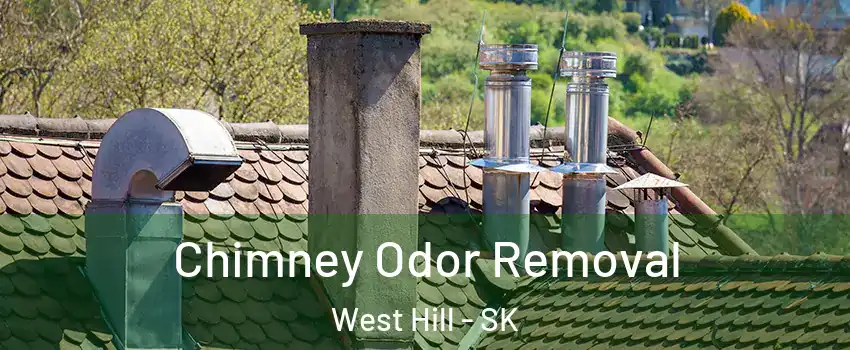  Chimney Odor Removal West Hill - SK