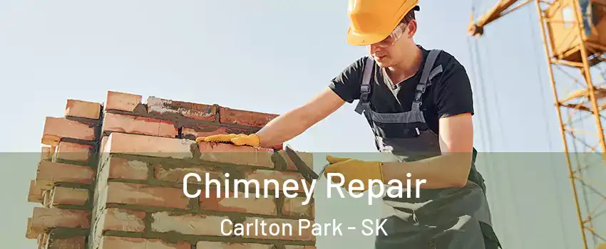  Chimney Repair Carlton Park - SK