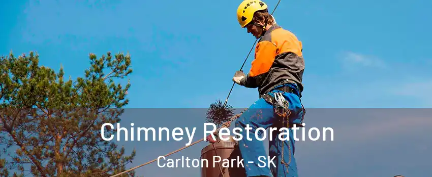  Chimney Restoration Carlton Park - SK