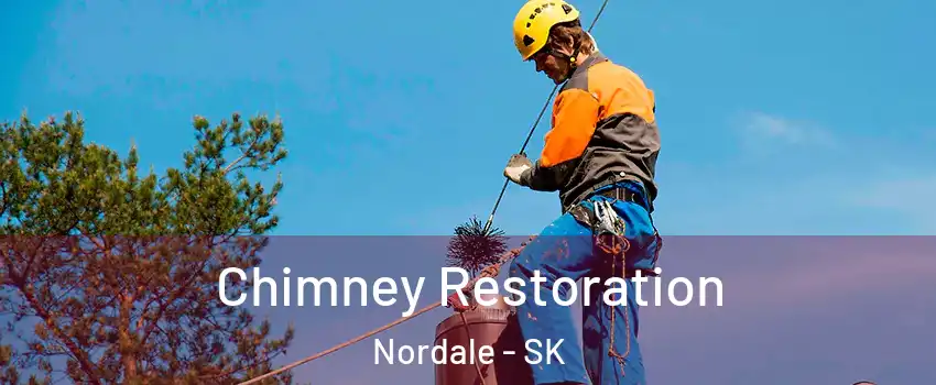  Chimney Restoration Nordale - SK