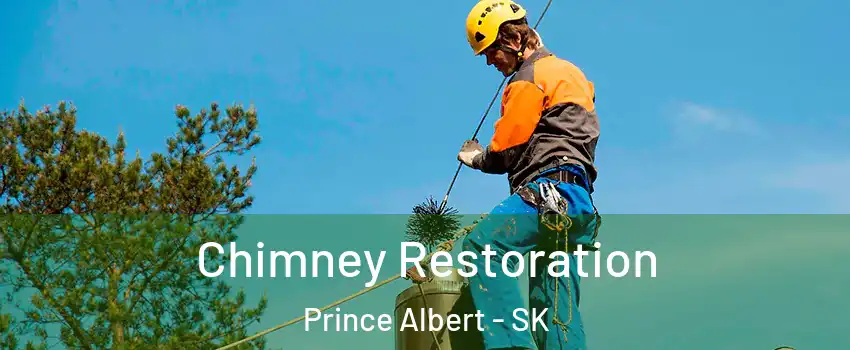  Chimney Restoration Prince Albert - SK