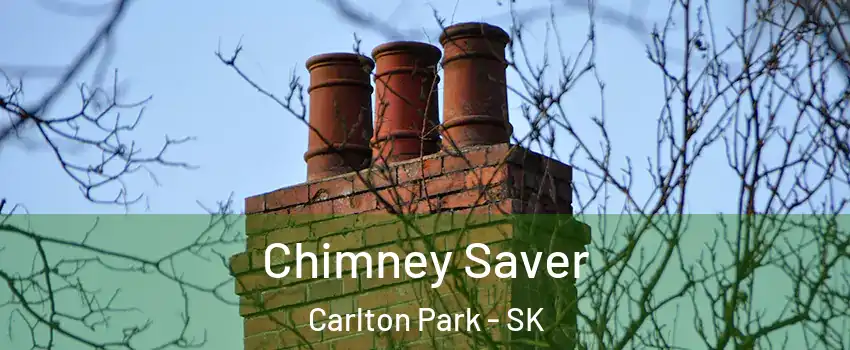  Chimney Saver Carlton Park - SK