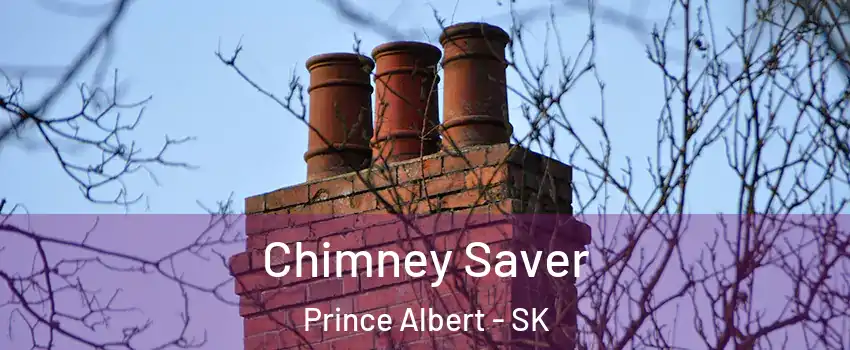  Chimney Saver Prince Albert - SK