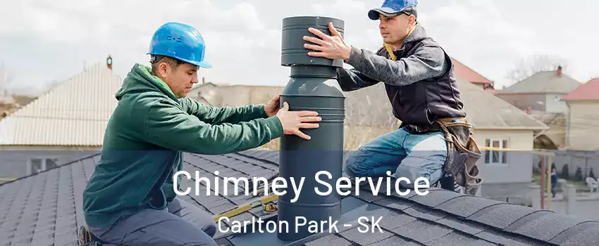  Chimney Service Carlton Park - SK