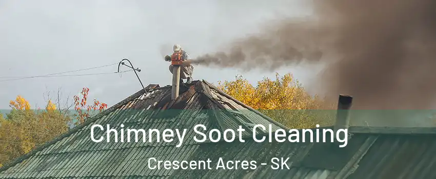  Chimney Soot Cleaning Crescent Acres - SK