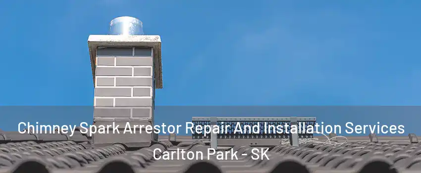  Chimney Spark Arrestor Repair And Installation Services Carlton Park - SK