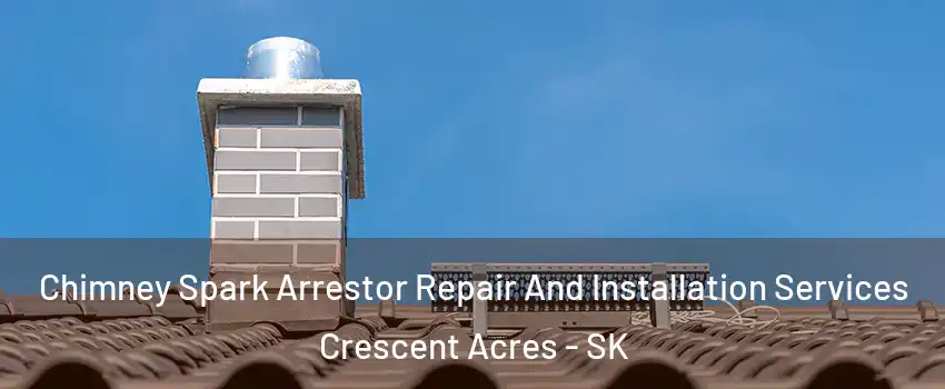  Chimney Spark Arrestor Repair And Installation Services Crescent Acres - SK