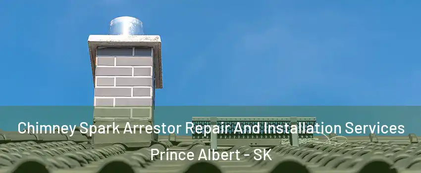  Chimney Spark Arrestor Repair And Installation Services Prince Albert - SK