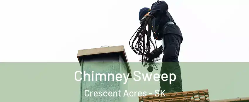  Chimney Sweep Crescent Acres - SK