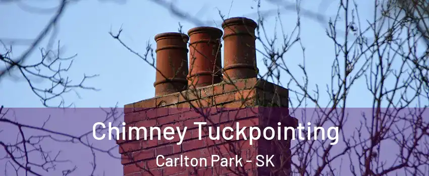  Chimney Tuckpointing Carlton Park - SK