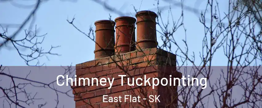  Chimney Tuckpointing East Flat - SK