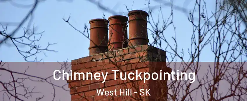  Chimney Tuckpointing West Hill - SK
