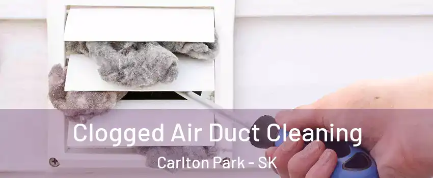  Clogged Air Duct Cleaning Carlton Park - SK