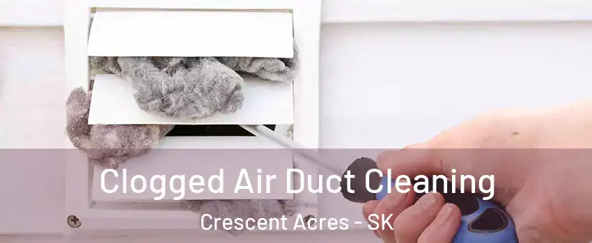  Clogged Air Duct Cleaning Crescent Acres - SK