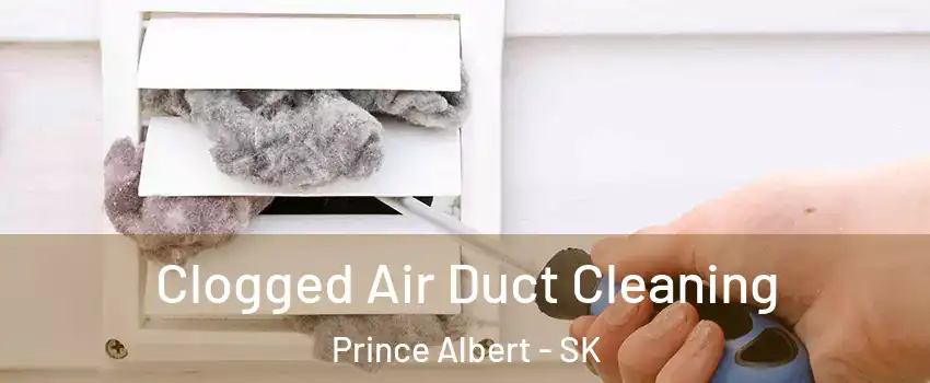  Clogged Air Duct Cleaning Prince Albert - SK