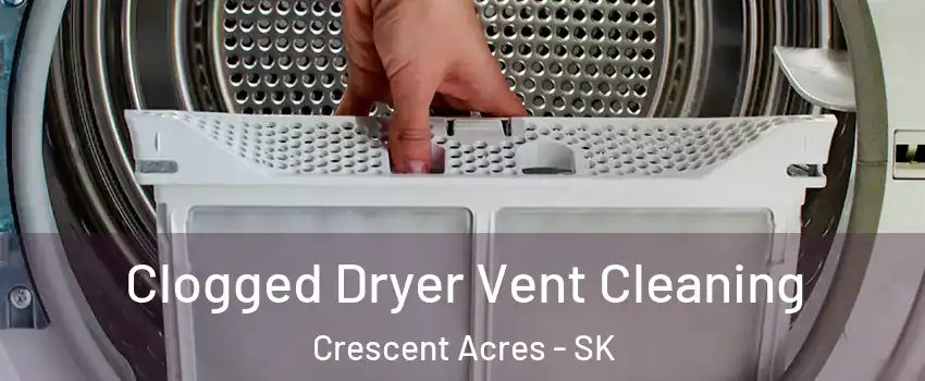  Clogged Dryer Vent Cleaning Crescent Acres - SK