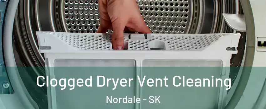  Clogged Dryer Vent Cleaning Nordale - SK
